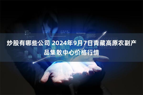 炒股有哪些公司 2024年9月7日青藏高原农副产品集散中心价格行情