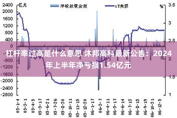 杠杆率过高是什么意思 沐邦高科最新公告：2024年上半年净亏损1.54亿元