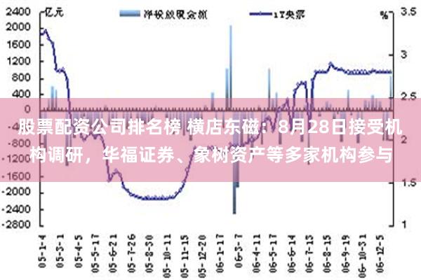 股票配资公司排名榜 横店东磁：8月28日接受机构调研，华福证券、象树资产等多家机构参与