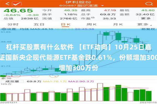 杠杆买股票有什么软件 【ETF动向】10月25日嘉实中证国新央企现代能源ETF基金跌0.61%，份额增加300万份