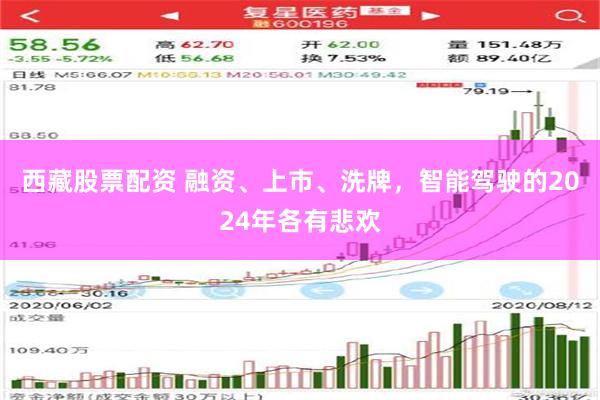 西藏股票配资 融资、上市、洗牌，智能驾驶的2024年各有悲欢