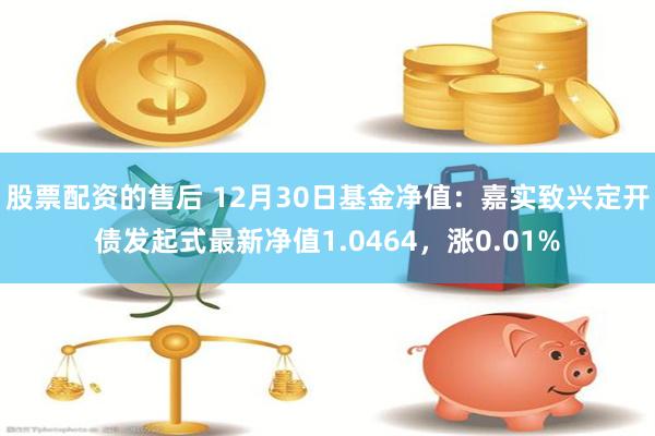 股票配资的售后 12月30日基金净值：嘉实致兴定开债发起式最新净值1.0464，涨0.01%